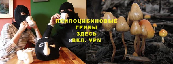 МДПВ Семилуки