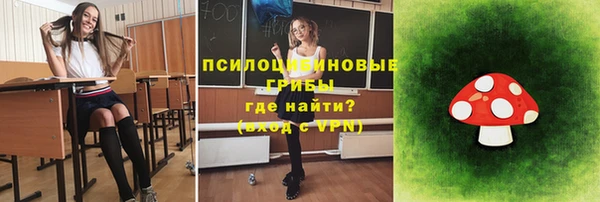 мдпв Армянск