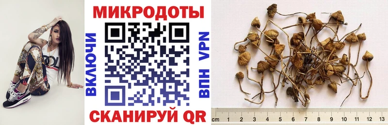 Галлюциногенные грибы ЛСД  Гуково 
