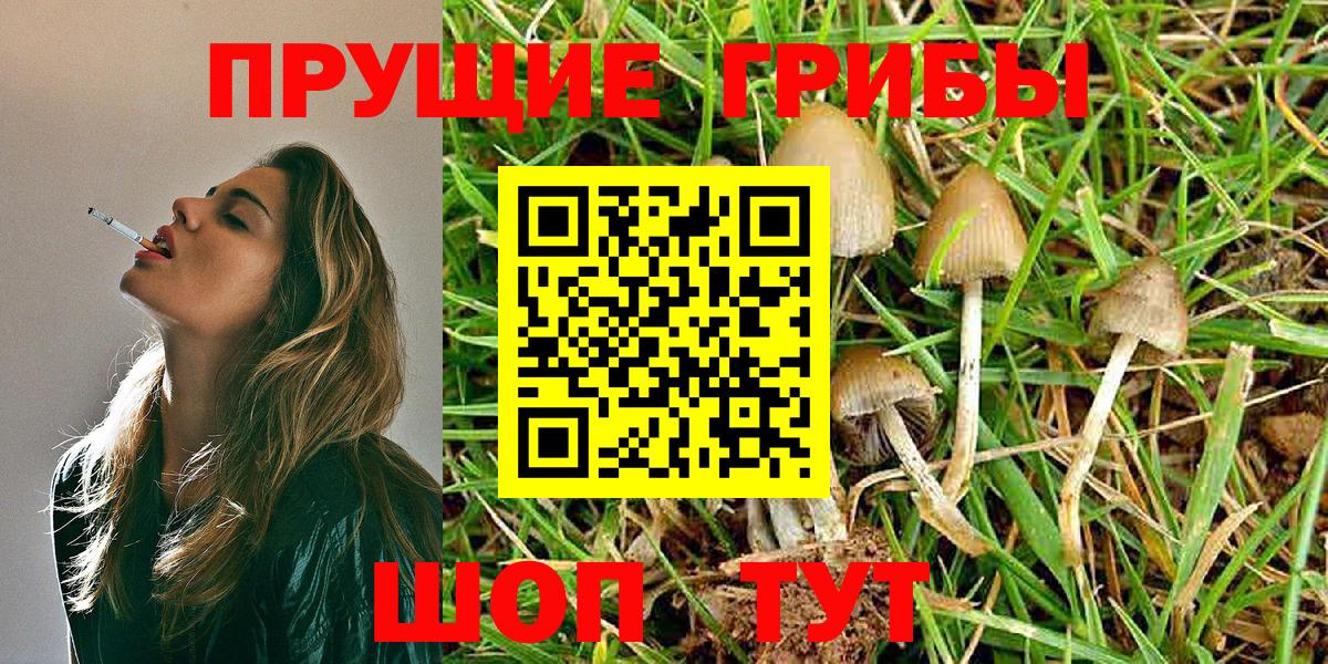 Галлюциногенные грибы Cubensis Гуково