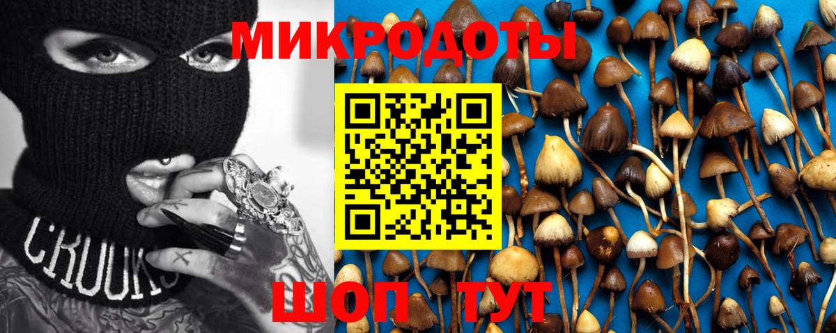Гуково  Псилоцибиновые грибы Psilocybe  наркота  Вход с VPN 